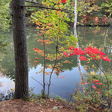 Fall colours 2025