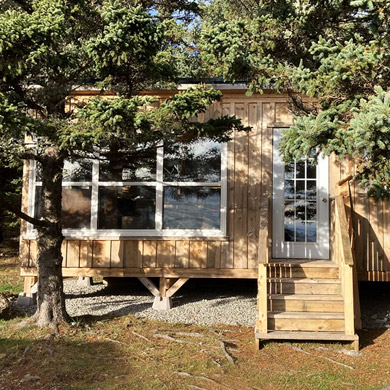 New studio and pine tree