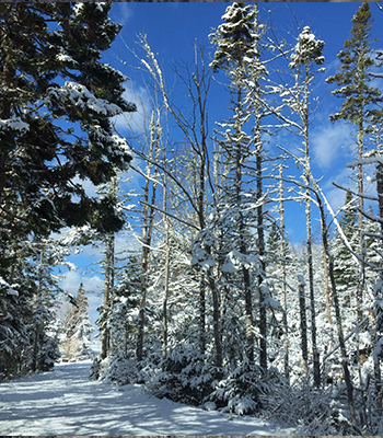 Snowscapes against blue sky